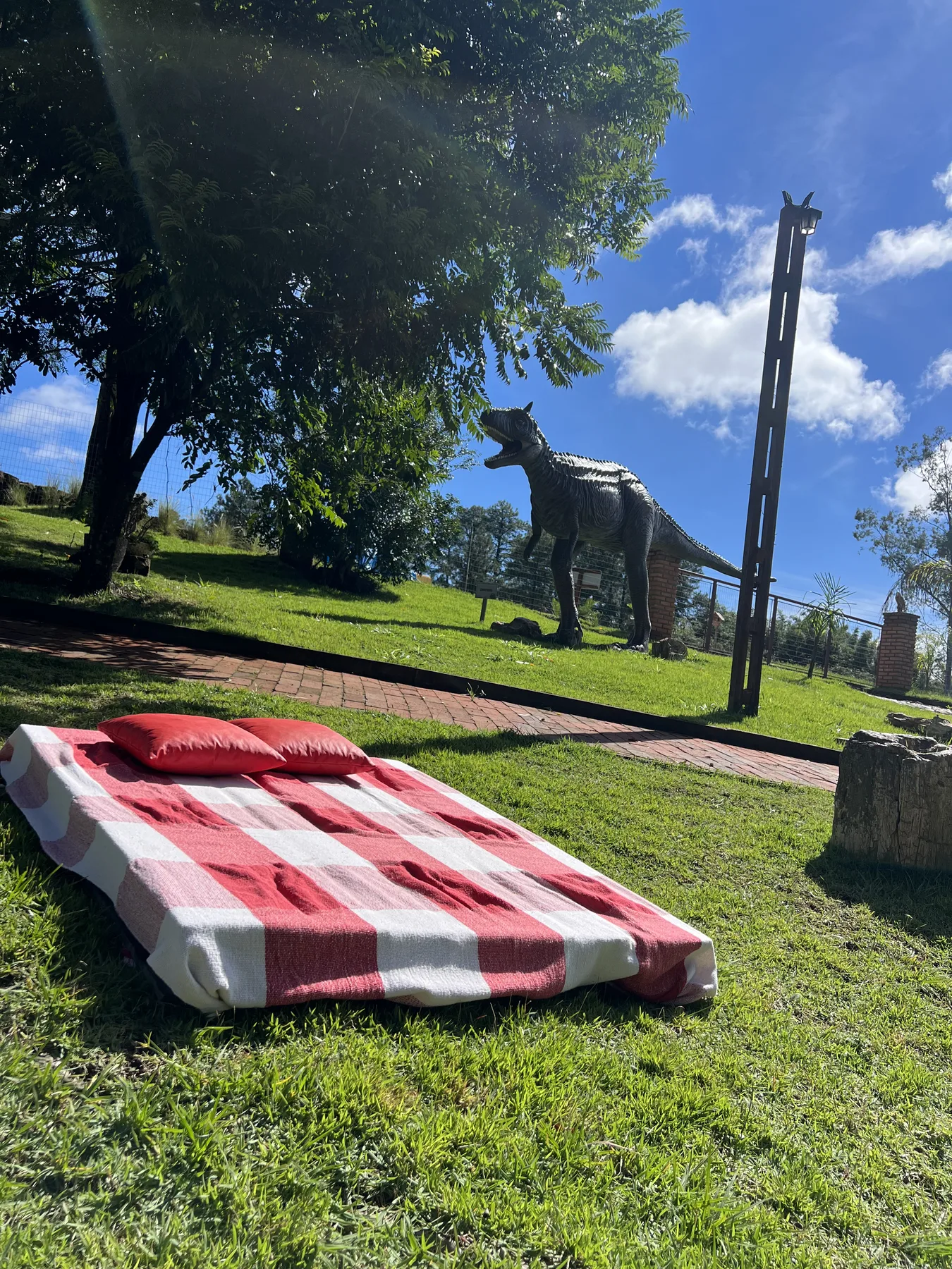 Piquenique e lazer