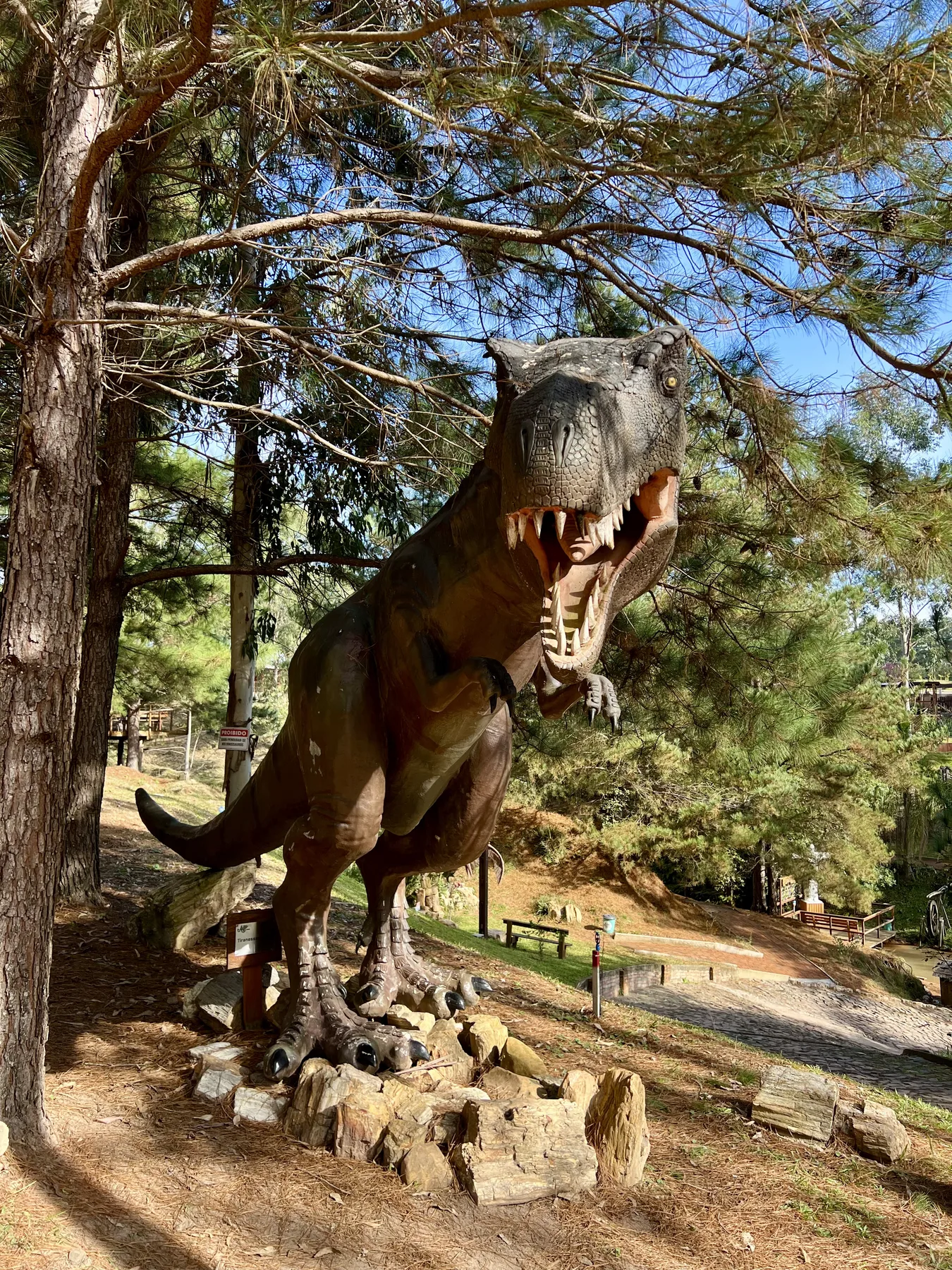 Dinossauros gigantes
